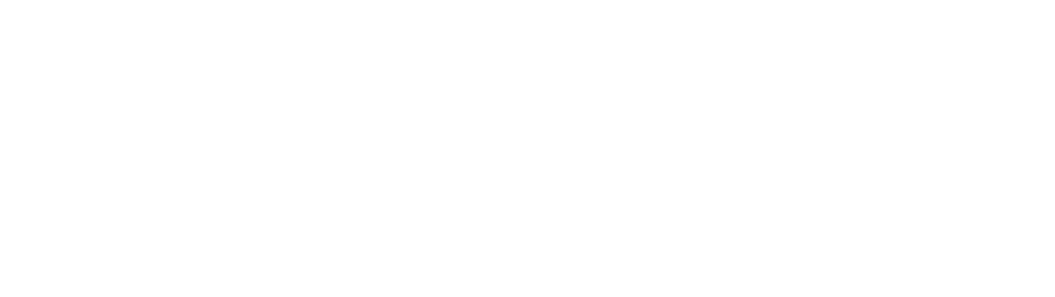 Traditions Insurance Group Logo